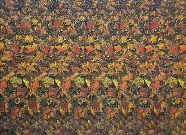 стерео-картинка